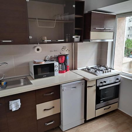 Apartament Titulescu/Banu Manta Lägenhet Bukarest Exteriör bild